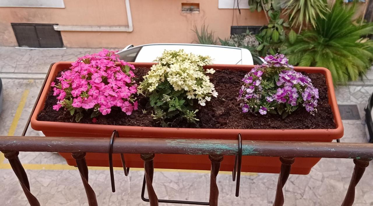 Capitolina Guest House Рим Екстер'єр фото